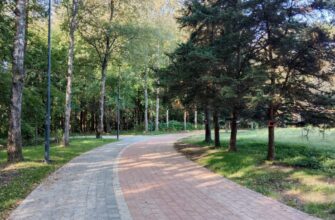 благоустройства в Реадовском парке