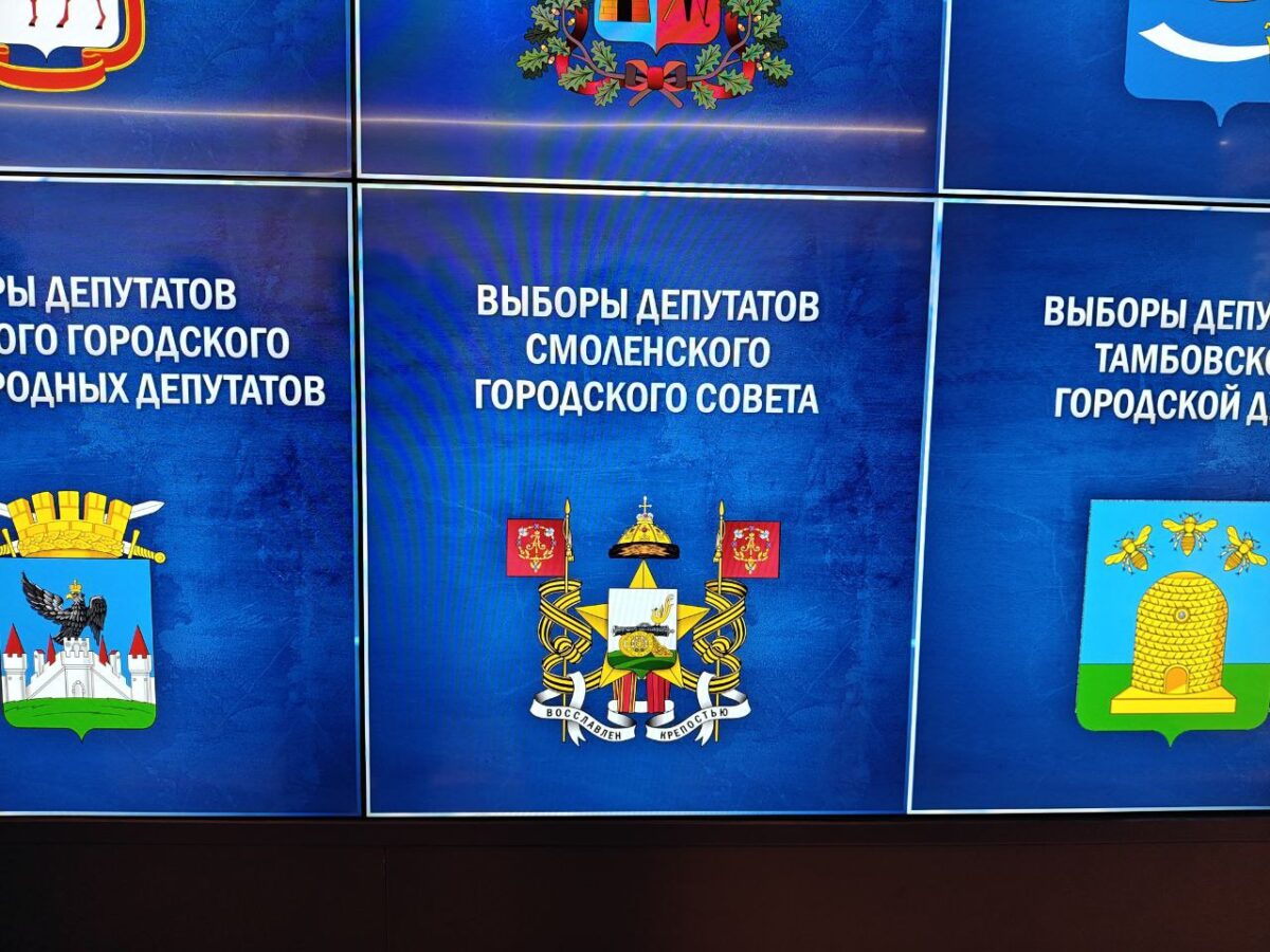 подарок на выборах