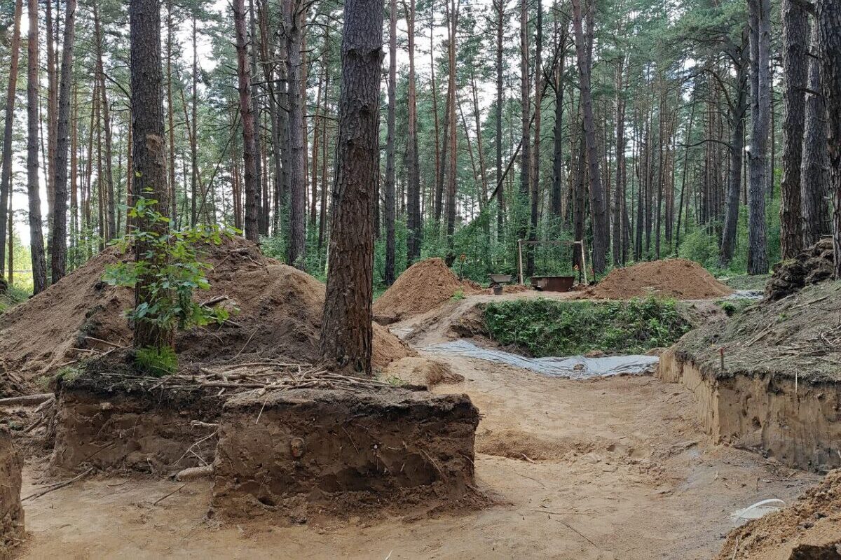 Гнездово, раскопки, археология