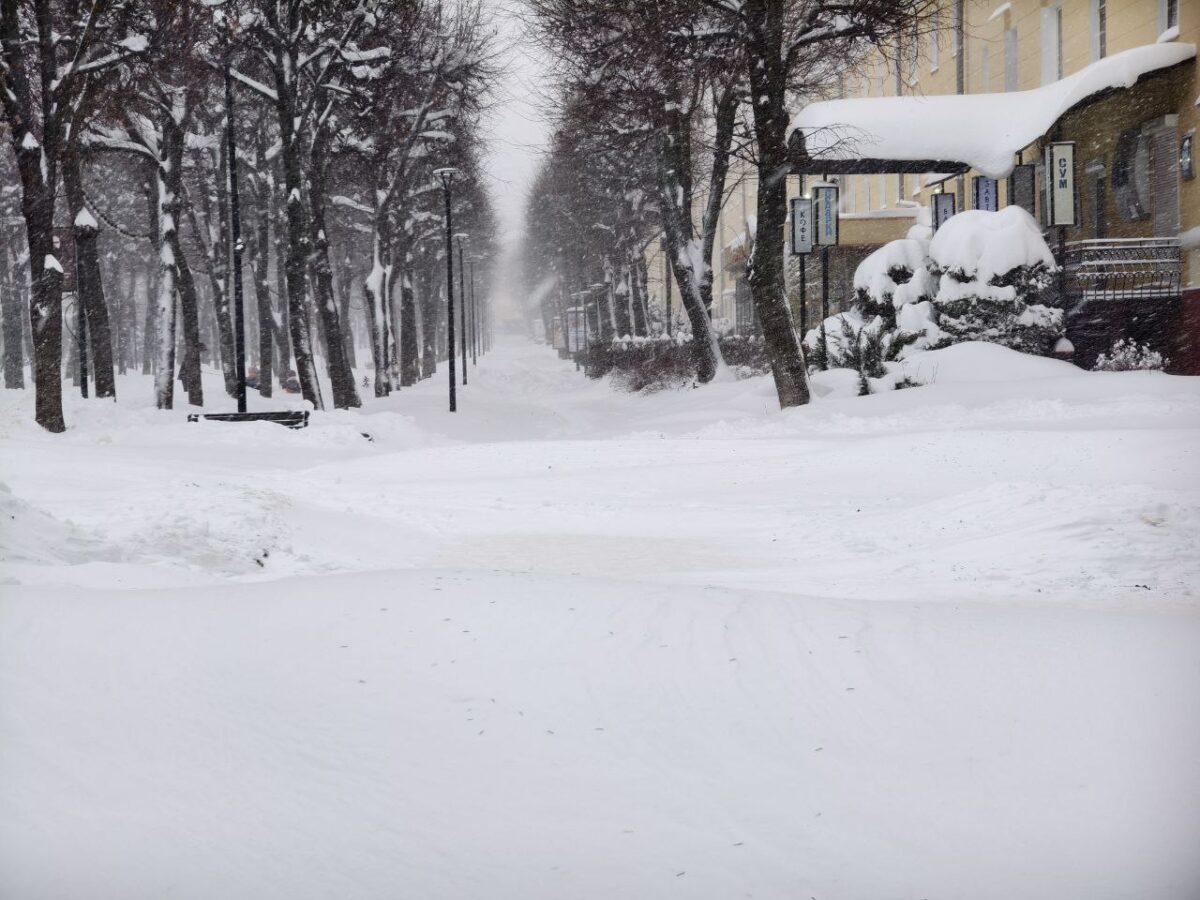 Глава Смоленска заявил о постоянном контроле ситуации с непогодой