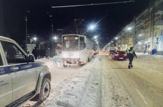 уголовное дело