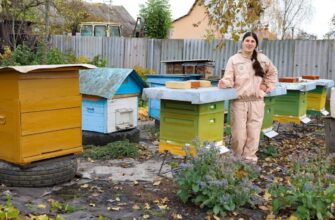 социальный контракт