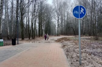 лыжероллерной