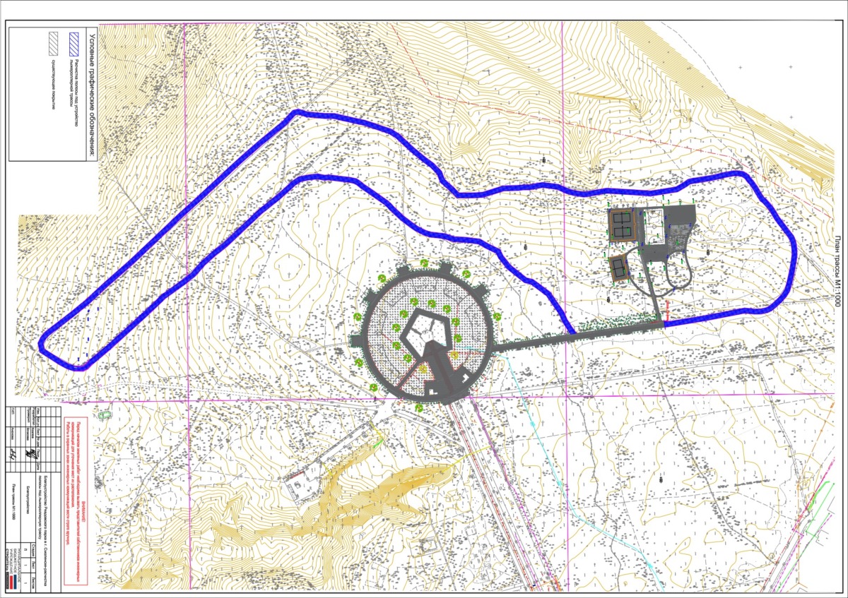лыжероллерной