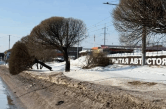 акте вандализма