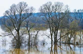 наводнения