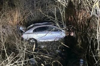 на электросамокате