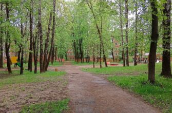 сквера "Нахимовский"
