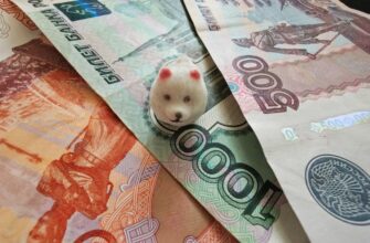 деньги, выплаты, пособия, зарплата