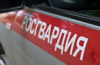 Росгвардия, кражи, "тревога", выезды, задержали
