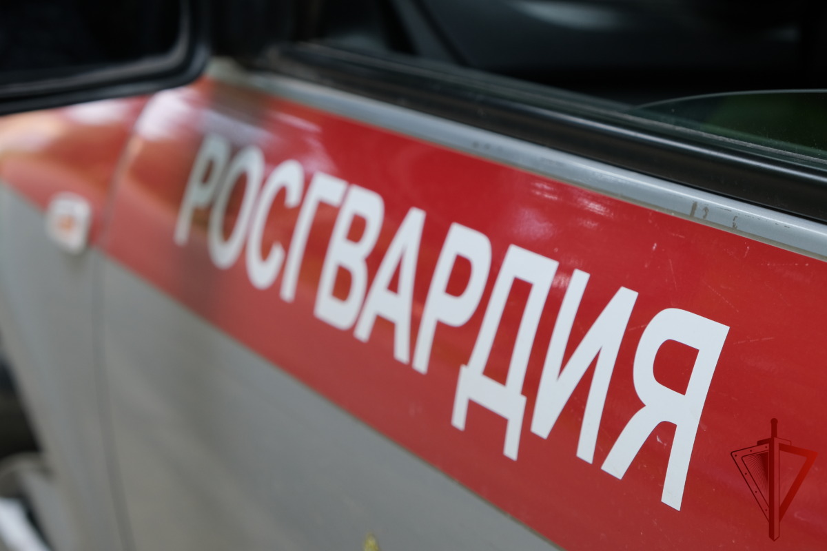Росгвардия, кражи, "тревога", выезды, задержали