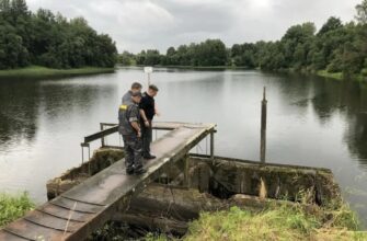 Водоем, гибель рыбы