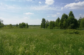 штраф
