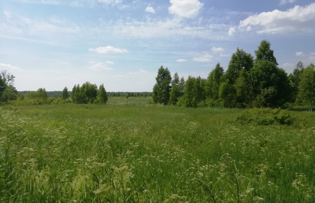штраф