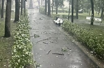 шторм, парк соловьиная роща, несовершеннолетний