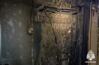 пожар в Гагарине