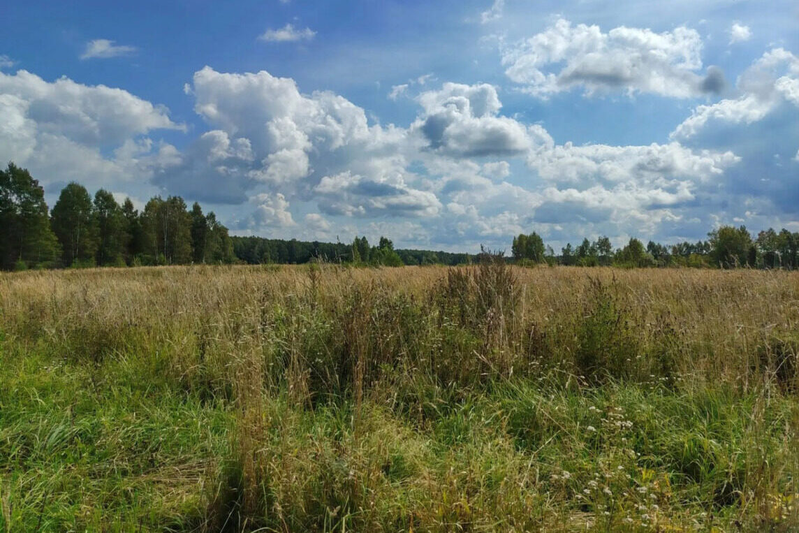 штраф, предписание, в суде, участок