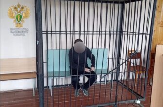 дроп-курьер, курьера